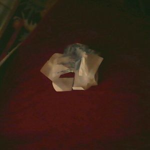 Meet your Posher, Jayden